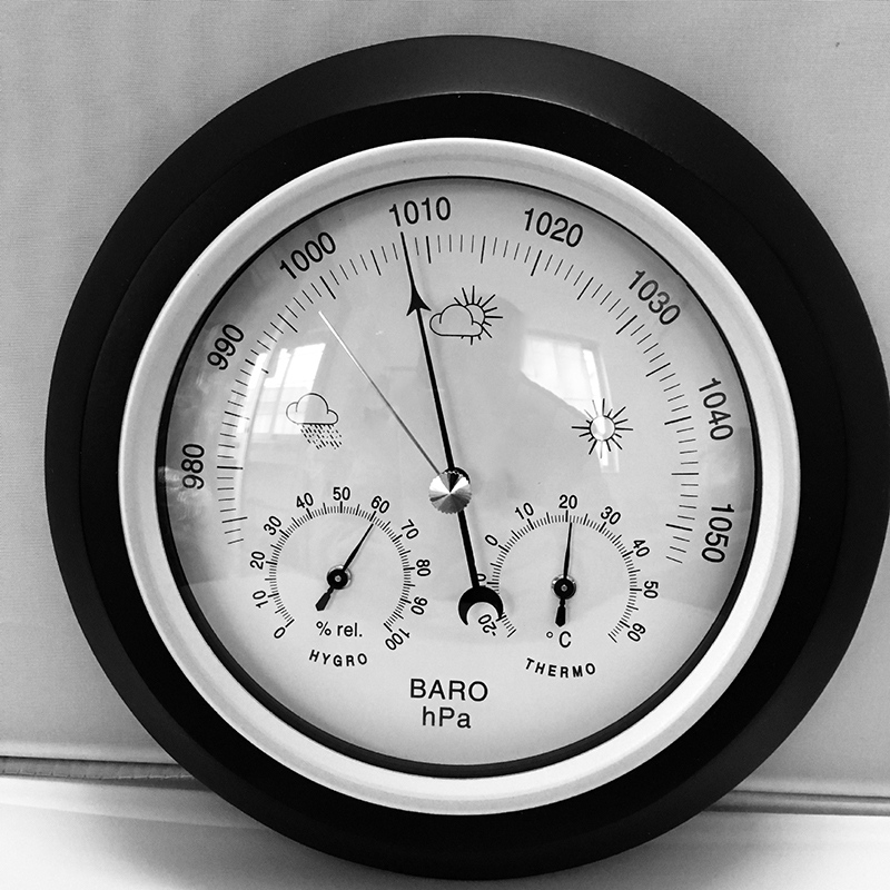 Digital Indoor Hygrometer Port - Garden Weather Station 评论和价格