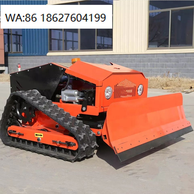 AWY 550 Model Remote Control G - Smart Garden Model 评论和价格